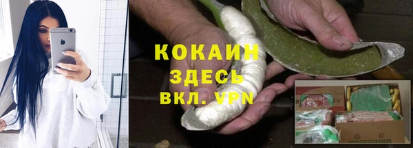 дживик Богородицк