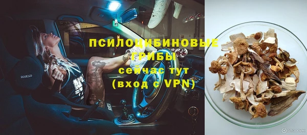 дживик Богородицк