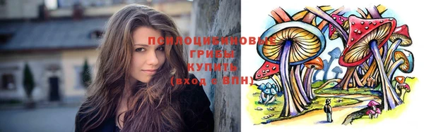 дживик Богородицк
