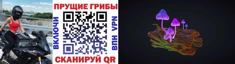 Галлюциногенные грибы Psilocybine cubensis  даркнет как зайти  Бикин 